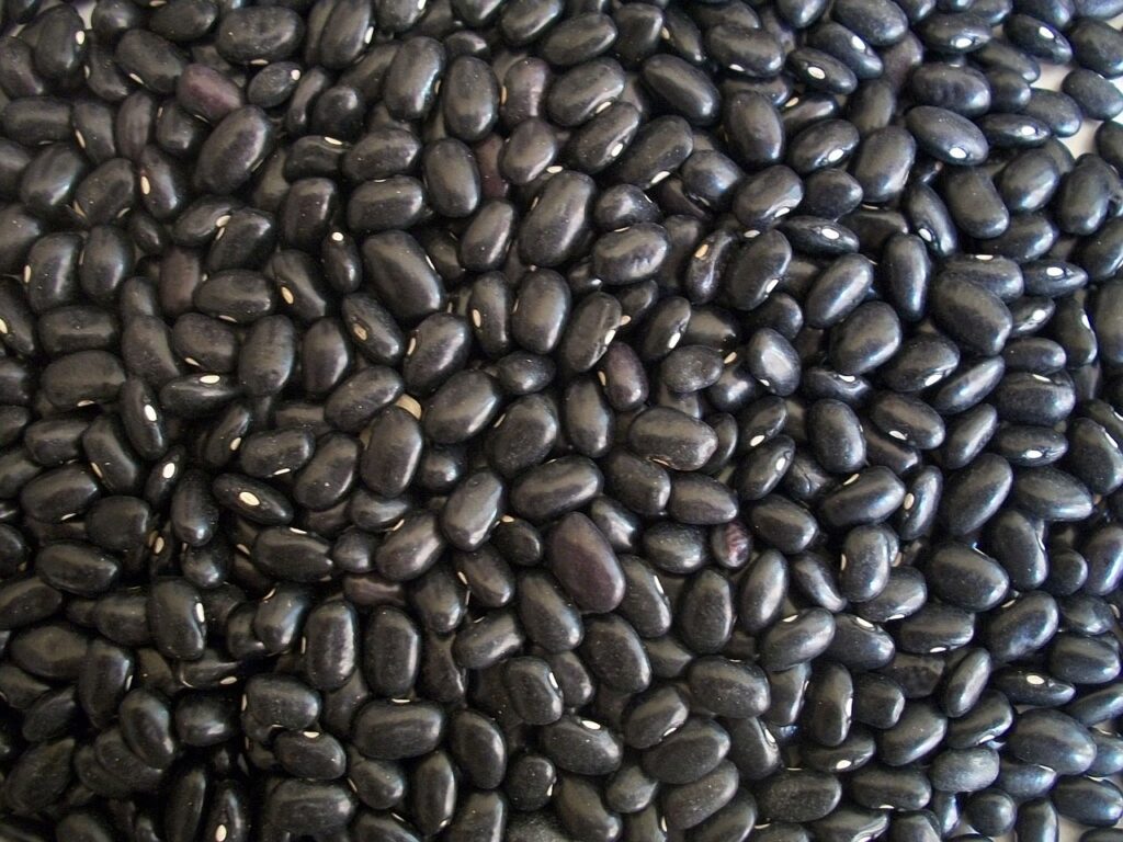 black beans, beans, dried-14522.jpg